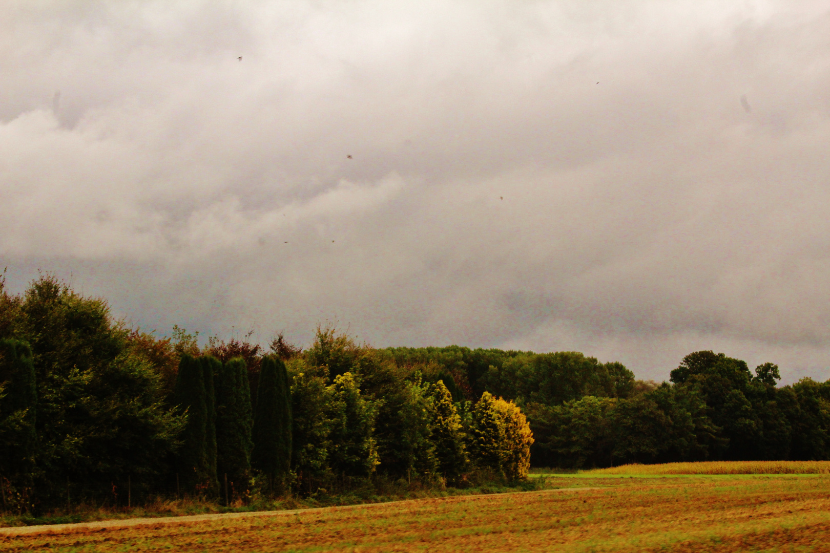 Herbst Landschaften