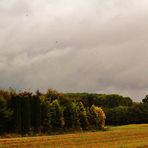 Herbst Landschaften