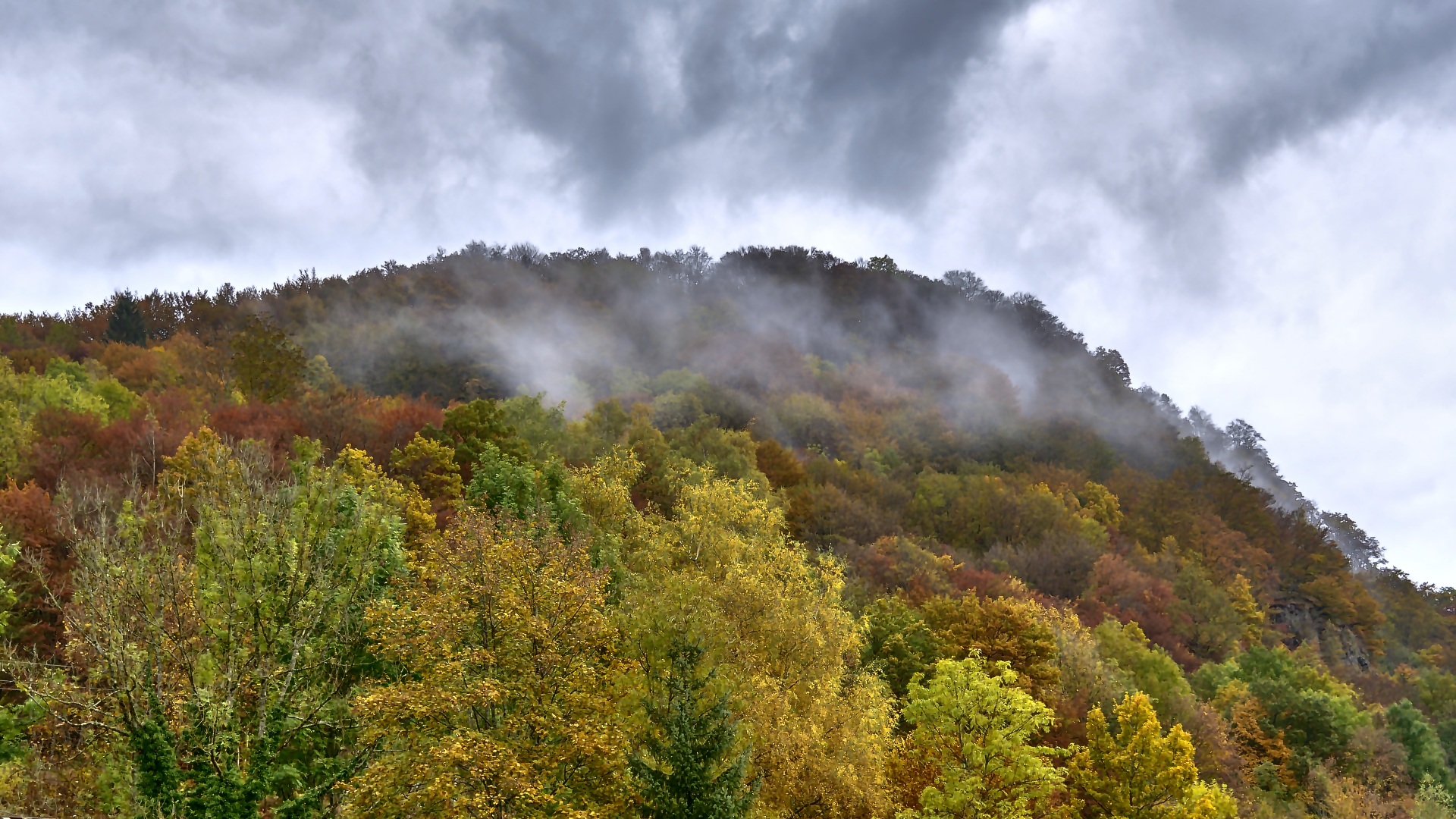 "Herbst"   Langsam endweicht der Nebel