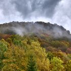 "Herbst"   Langsam endweicht der Nebel