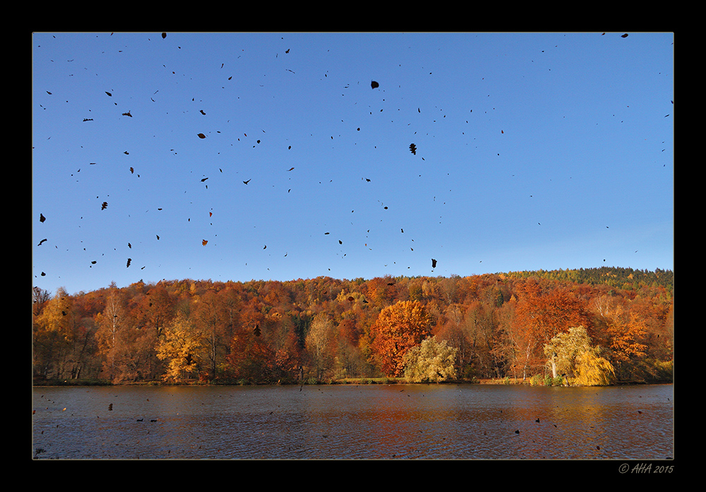 Herbst-Laub