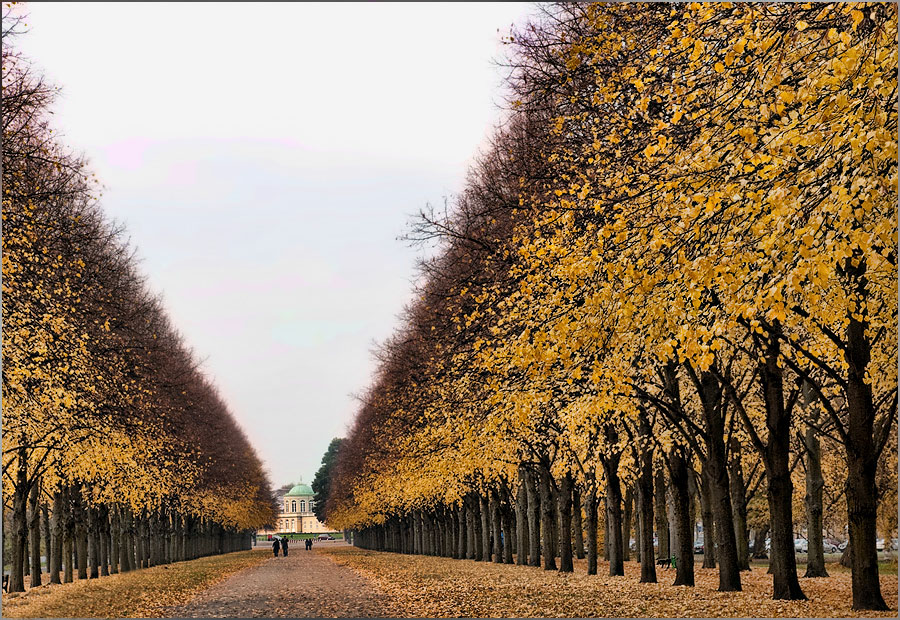 Herbst-Laub