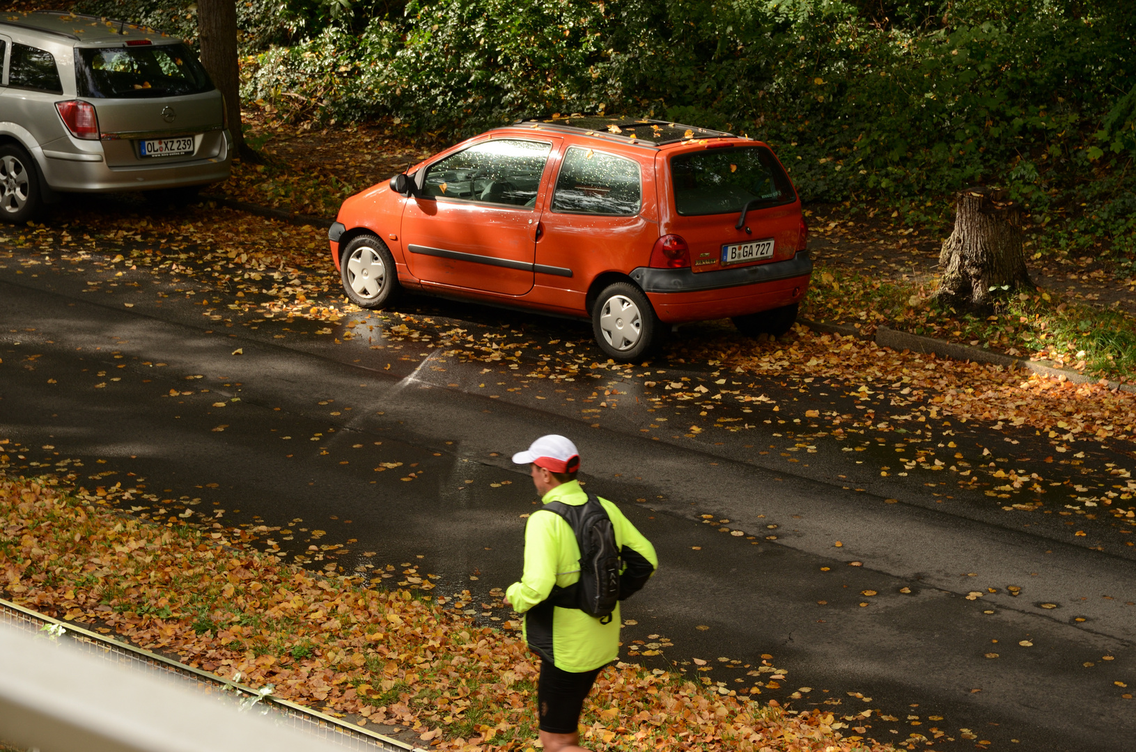 Herbst-laub/f