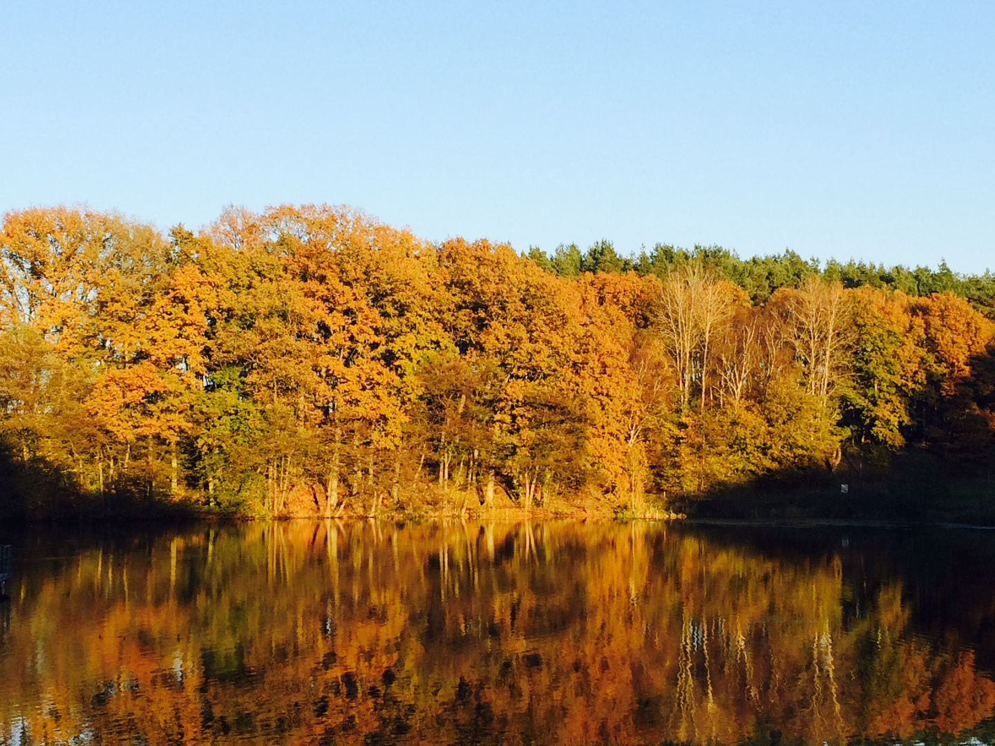 Herbst - Laubverfärbung - Spiegelung im See
