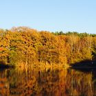 Herbst - Laubverfärbung - Spiegelung im See
