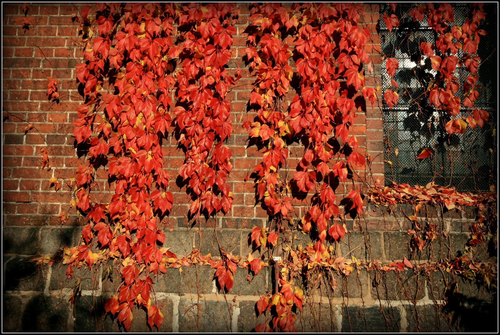 herbst + laurentius-kirche