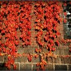 herbst + laurentius-kirche