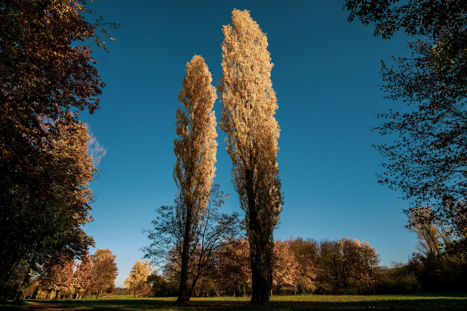 Herbst Leipzig