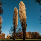 Herbst Leipzig