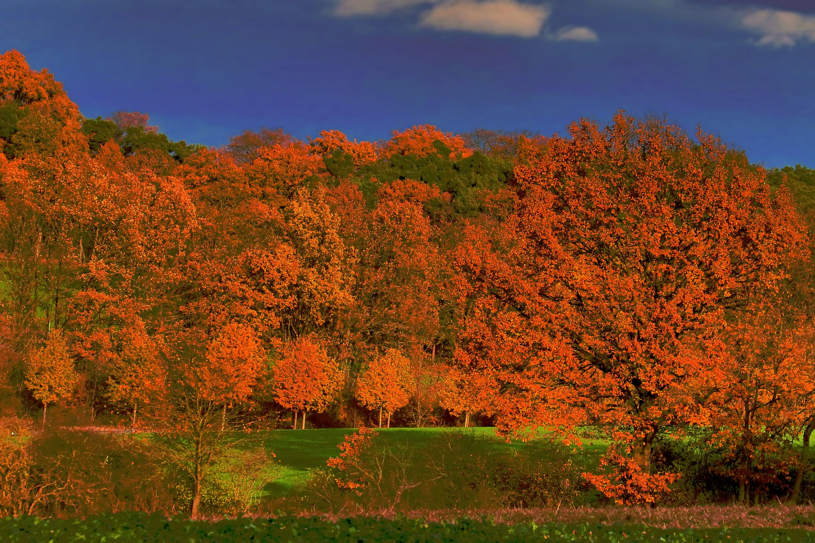 "Herbst - Leuchten"