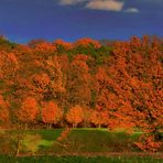 "Herbst - Leuchten"