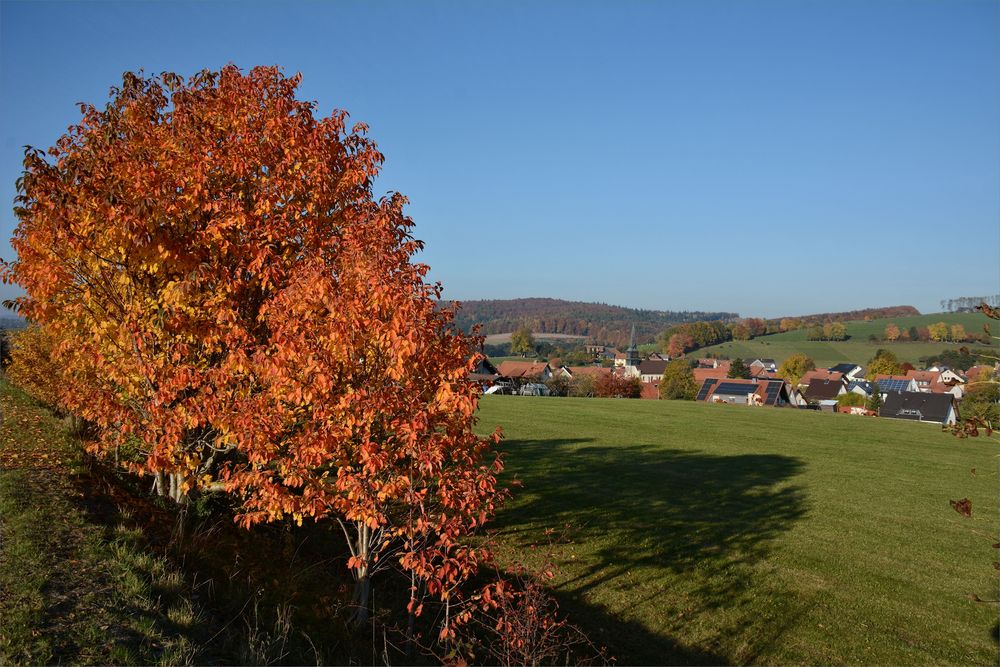 Herbst .Leuchten