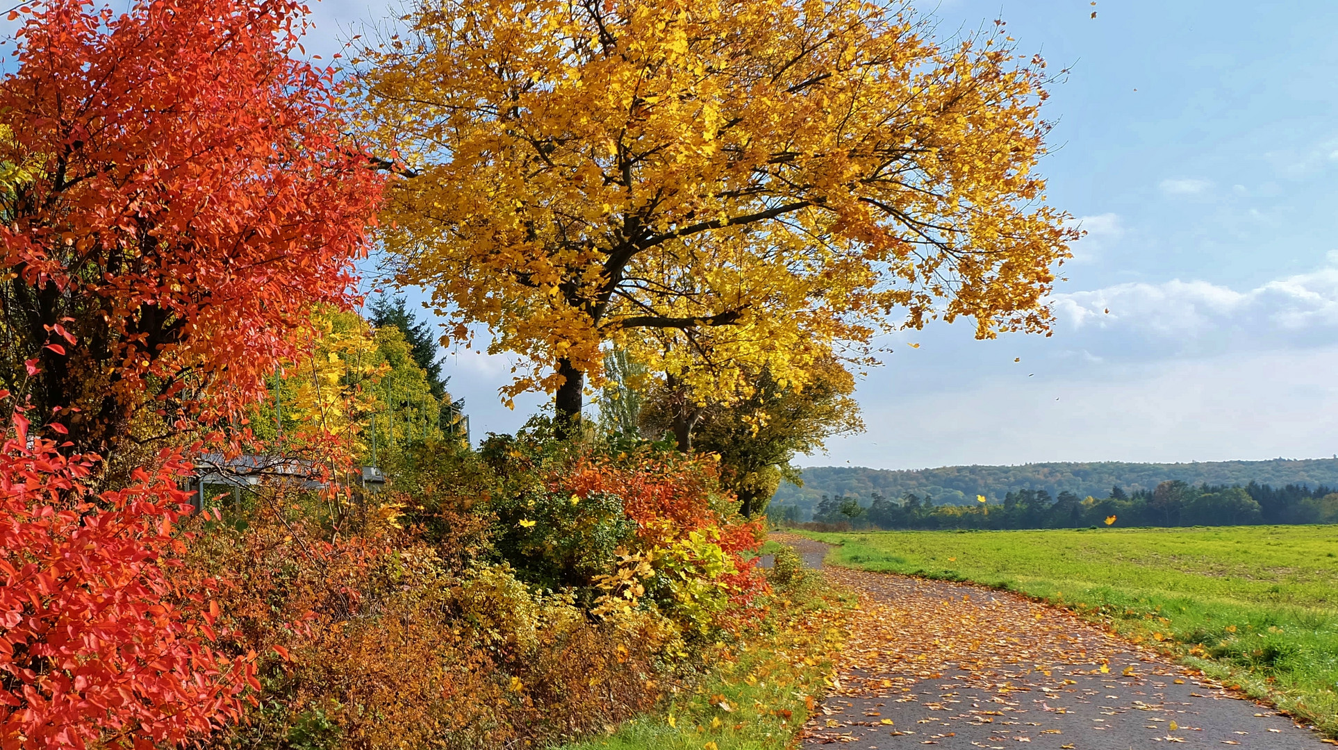 herbst-lich