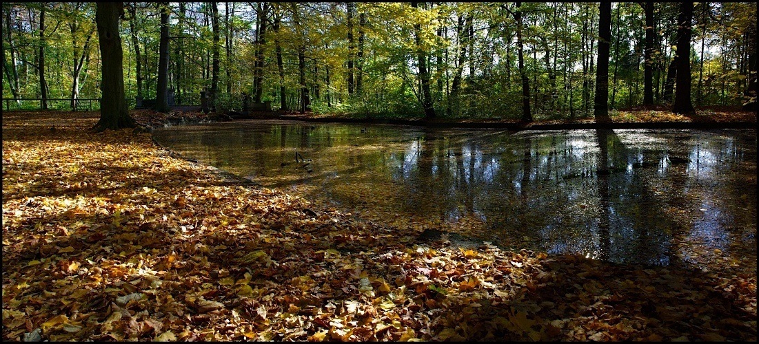 ... herbst-lich-t ...