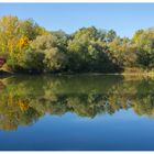 Herbst-lich willkommen... ! ...wieder da...