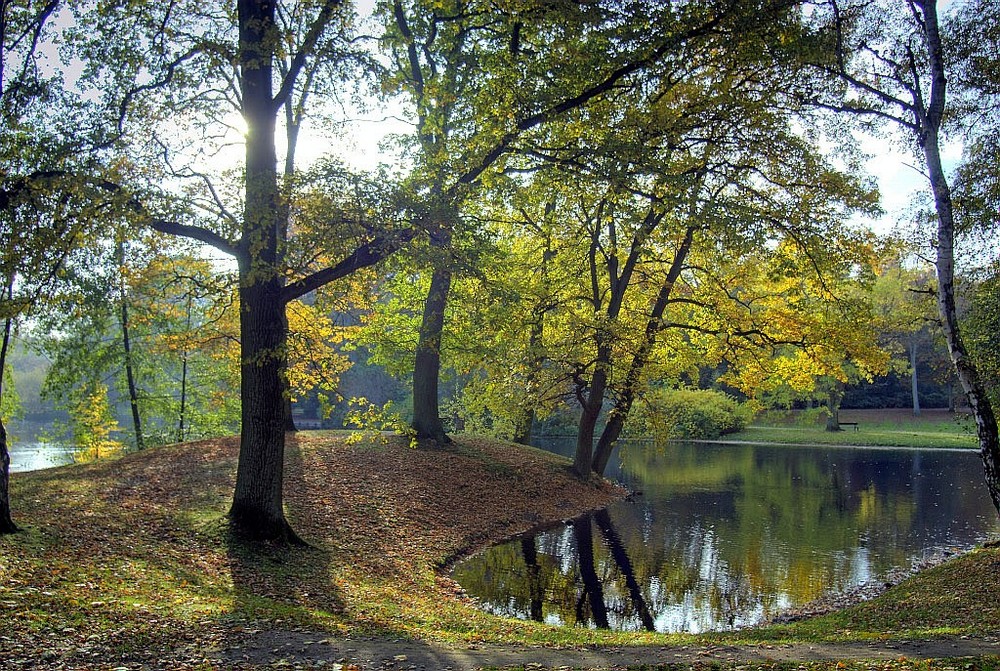 Herbst-Licht