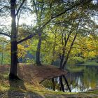 Herbst-Licht