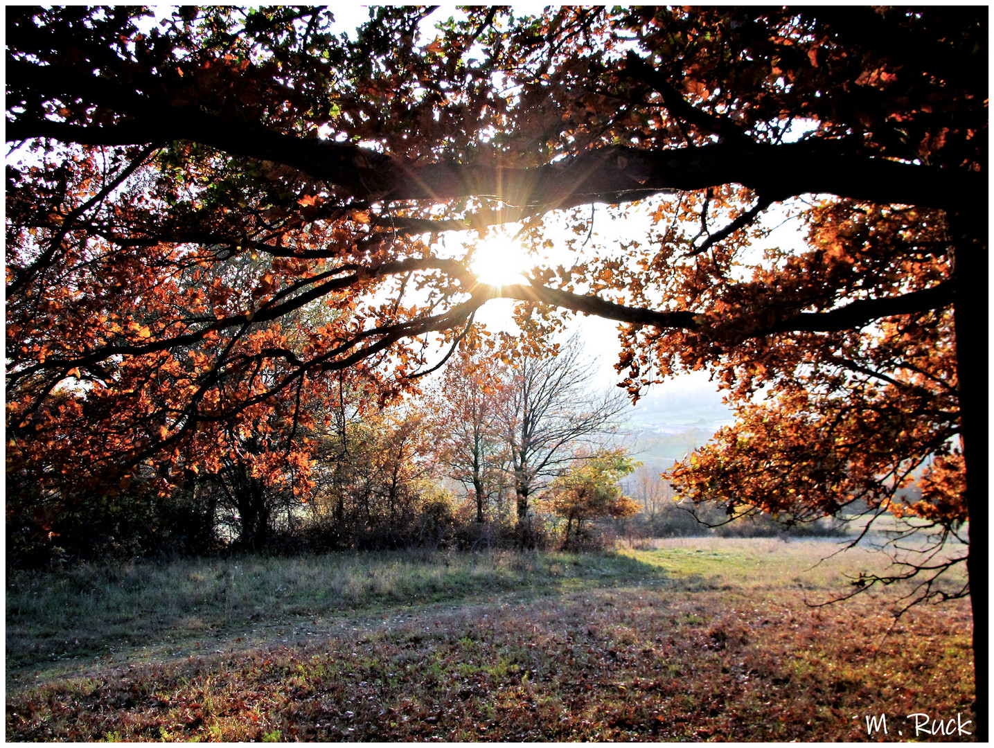 Herbst Licht !