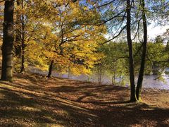 herbst-licht