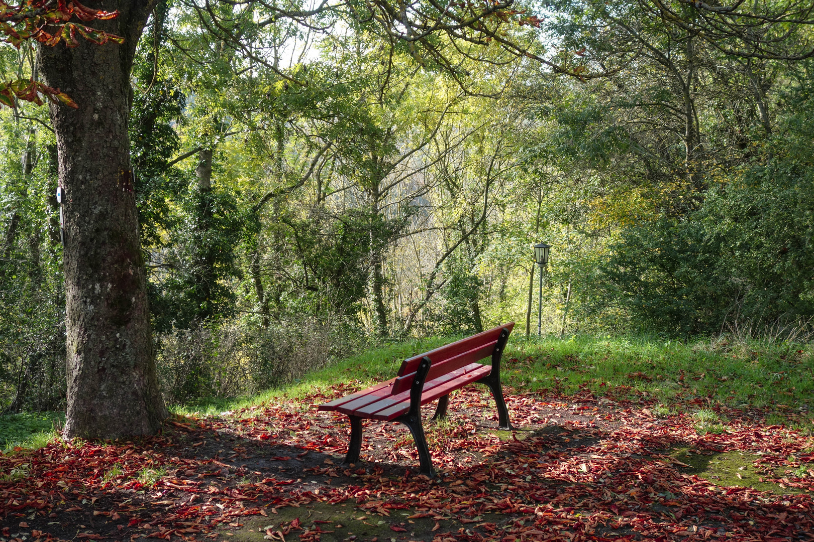 Herbst-lich(t)