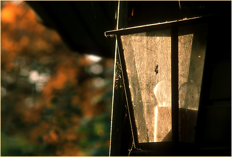 "Herbst - Licht"