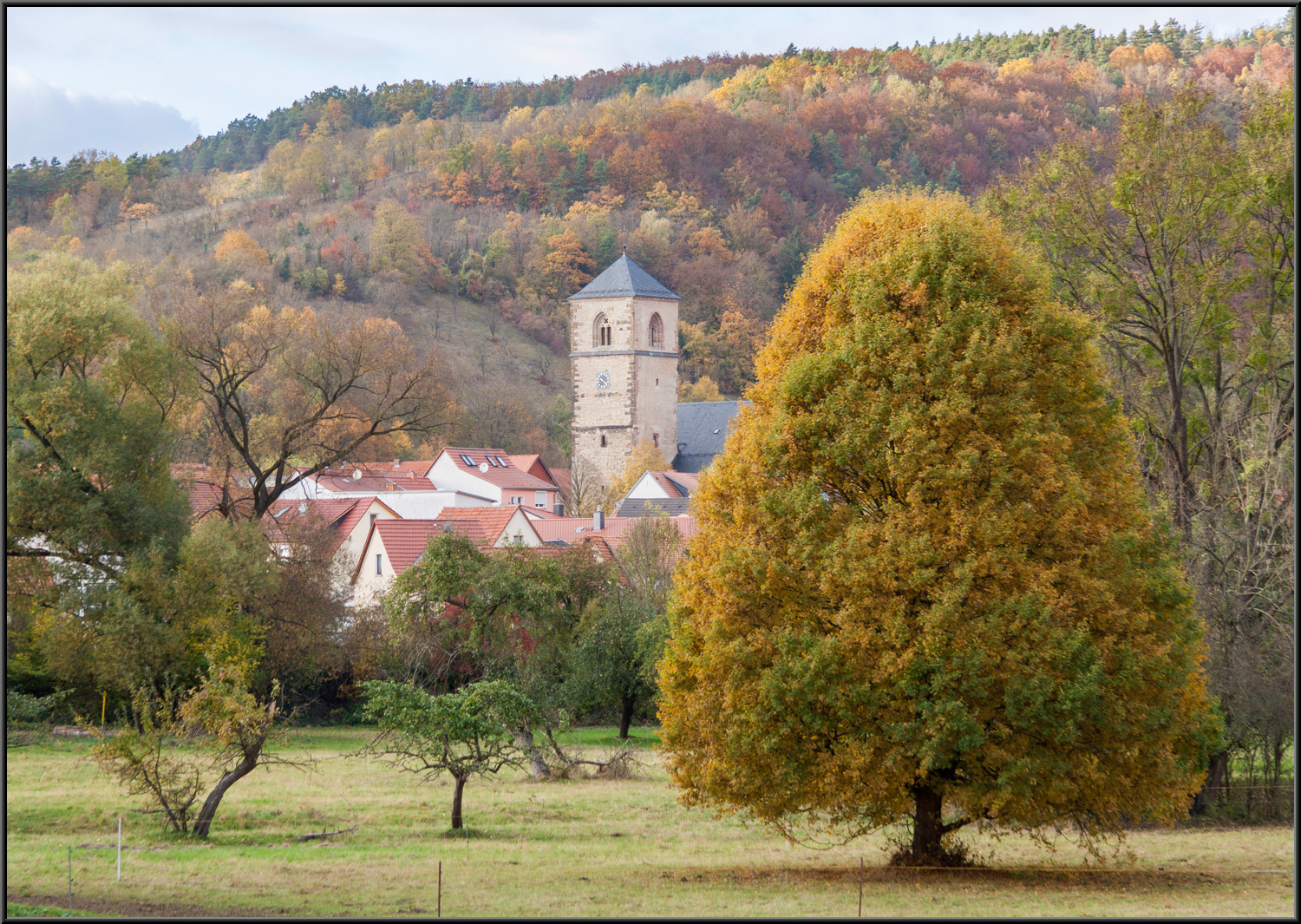 Herbst Licht