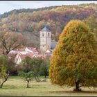 Herbst Licht