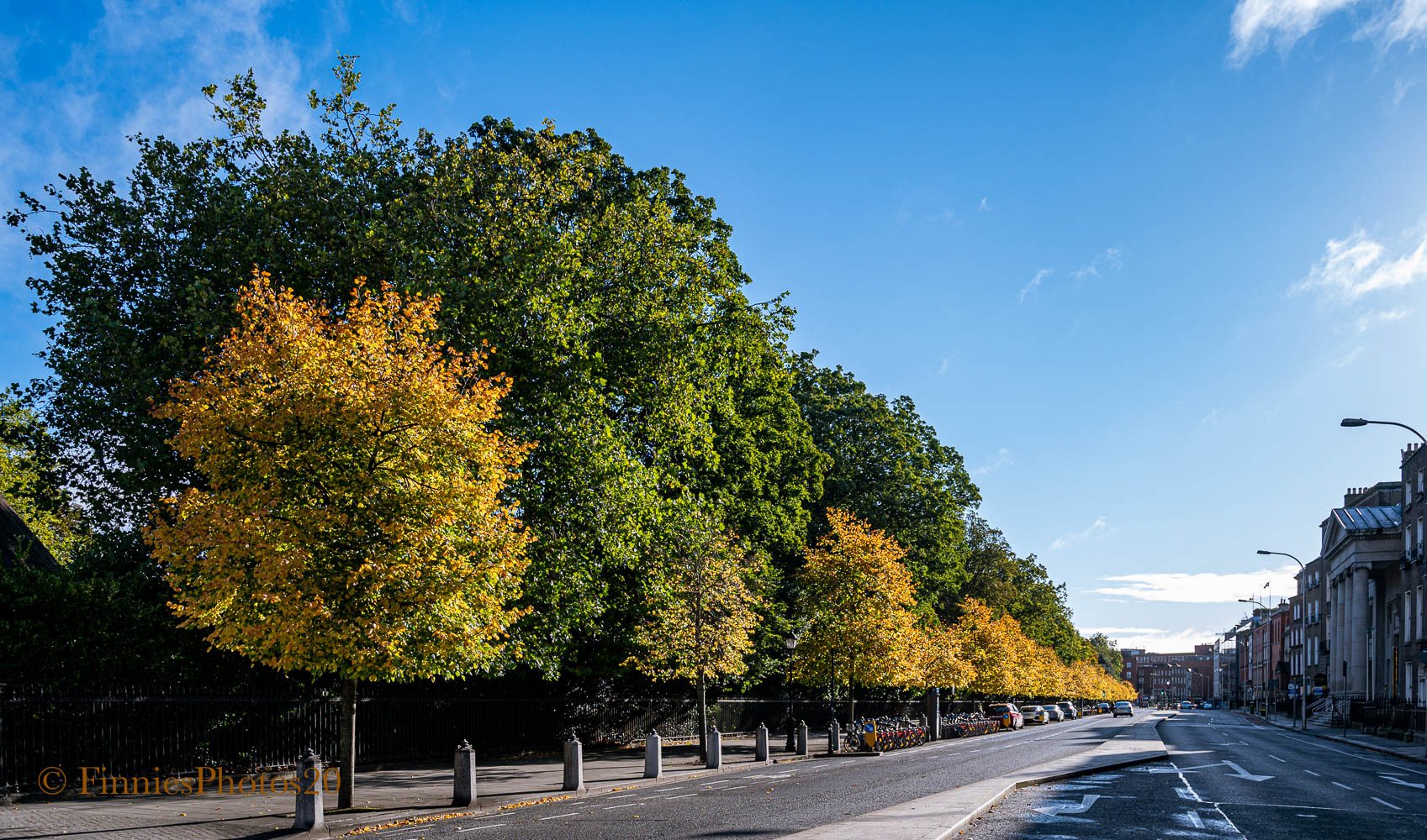 Herbst Licht "Contre Jour" Dublin.