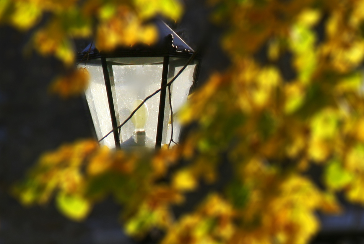 Herbst - Licht...