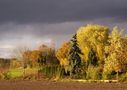 Herbst-Licht von Ricarda-B 