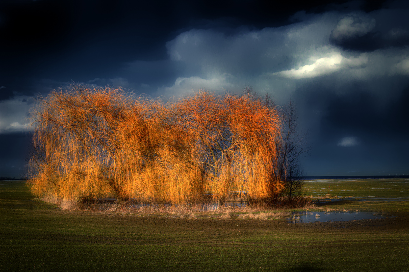 Herbst-Licht-Fänger