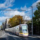 Herbst Licht mit Luas