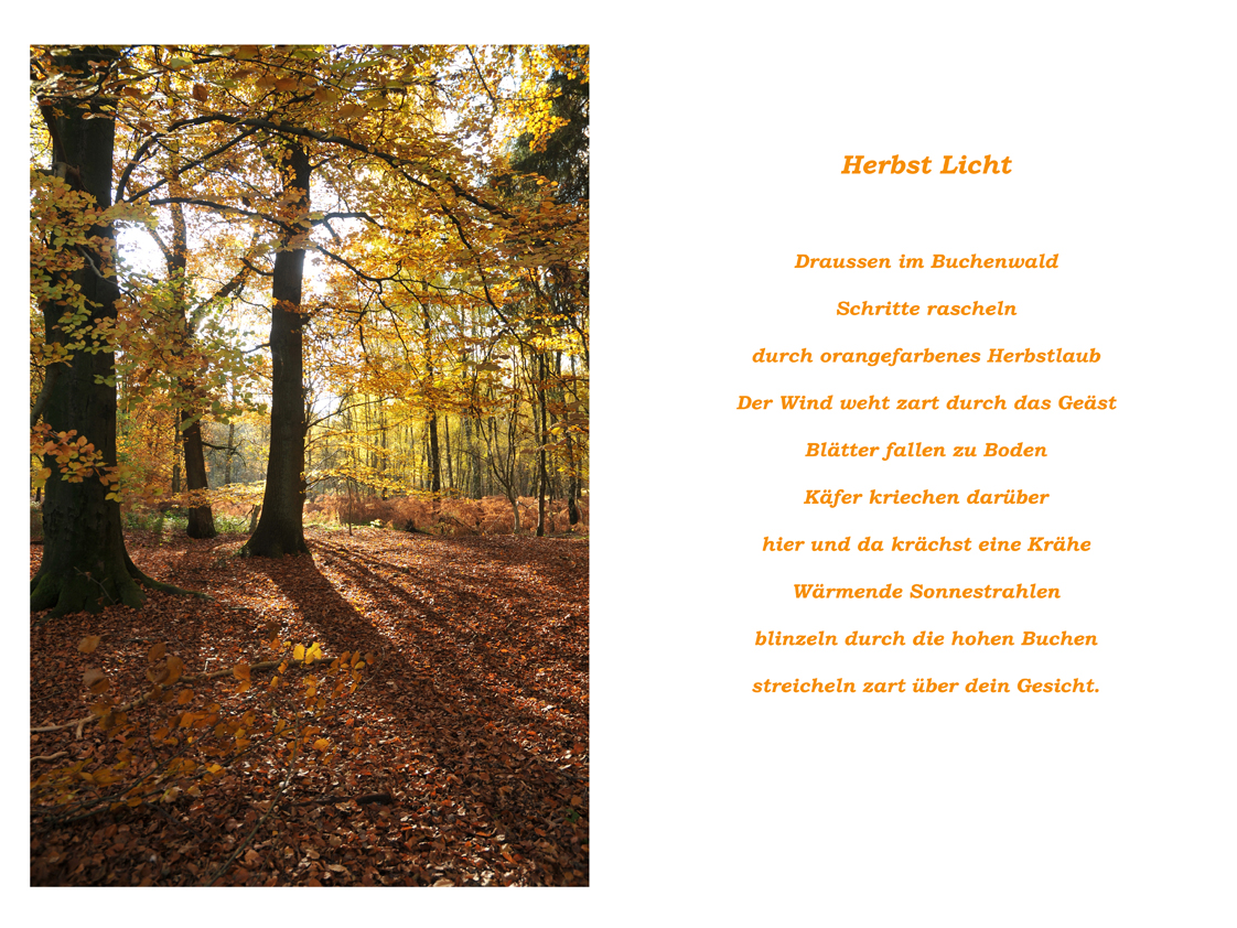 Herbst-Licht-Stimmung