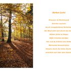 Herbst-Licht-Stimmung