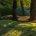 Herbst - Lichtstimmung