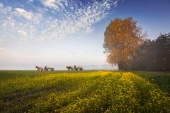 Herbst liegt in der Luft