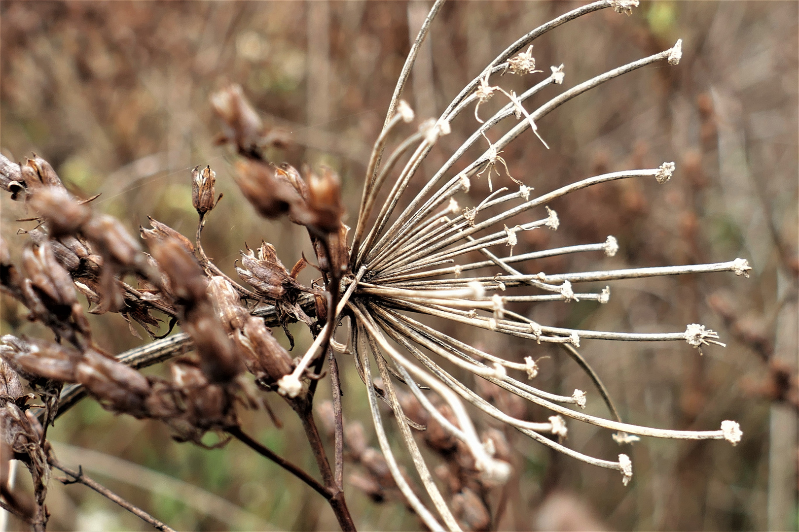 Herbst liegt in der Luft