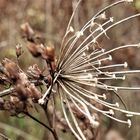 Herbst liegt in der Luft