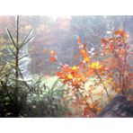 Herbst  --  Loch