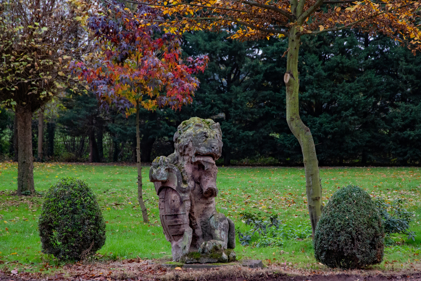 Herbst-Löwe