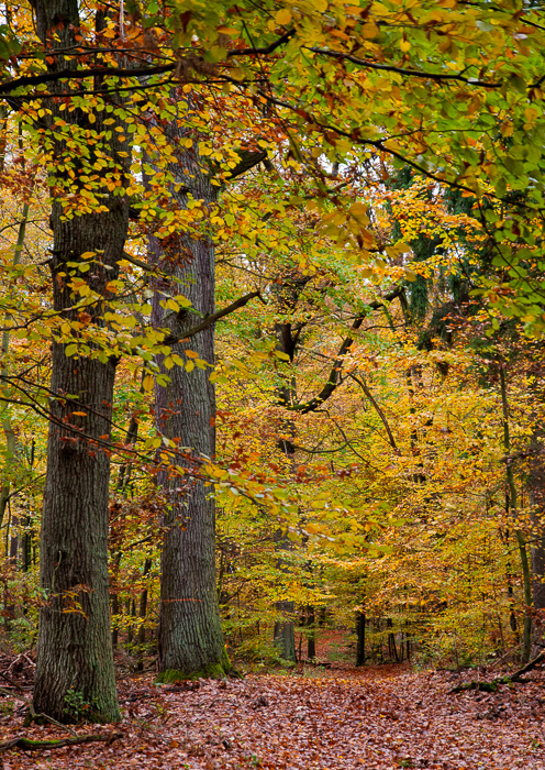 Herbst Märkische Schweiz