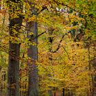 Herbst Märkische Schweiz