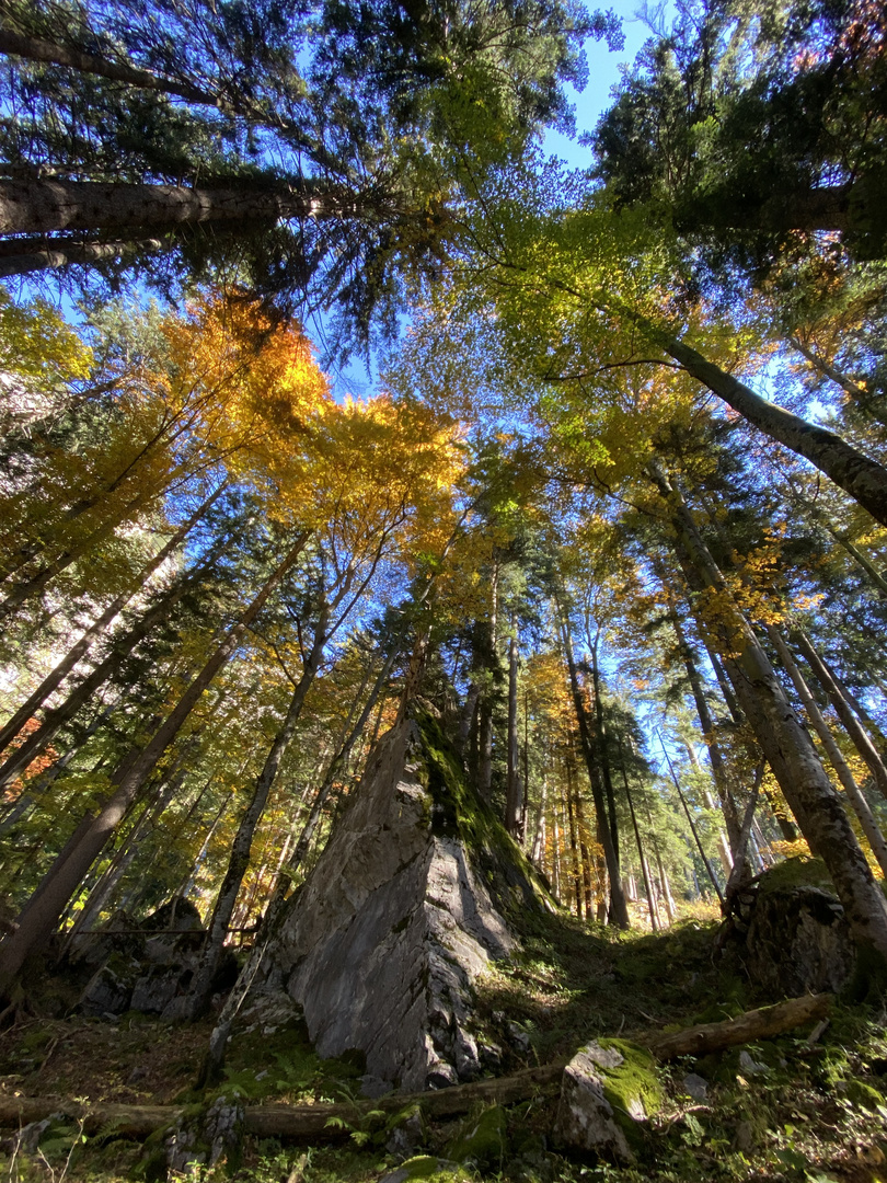 Herbst-Magie