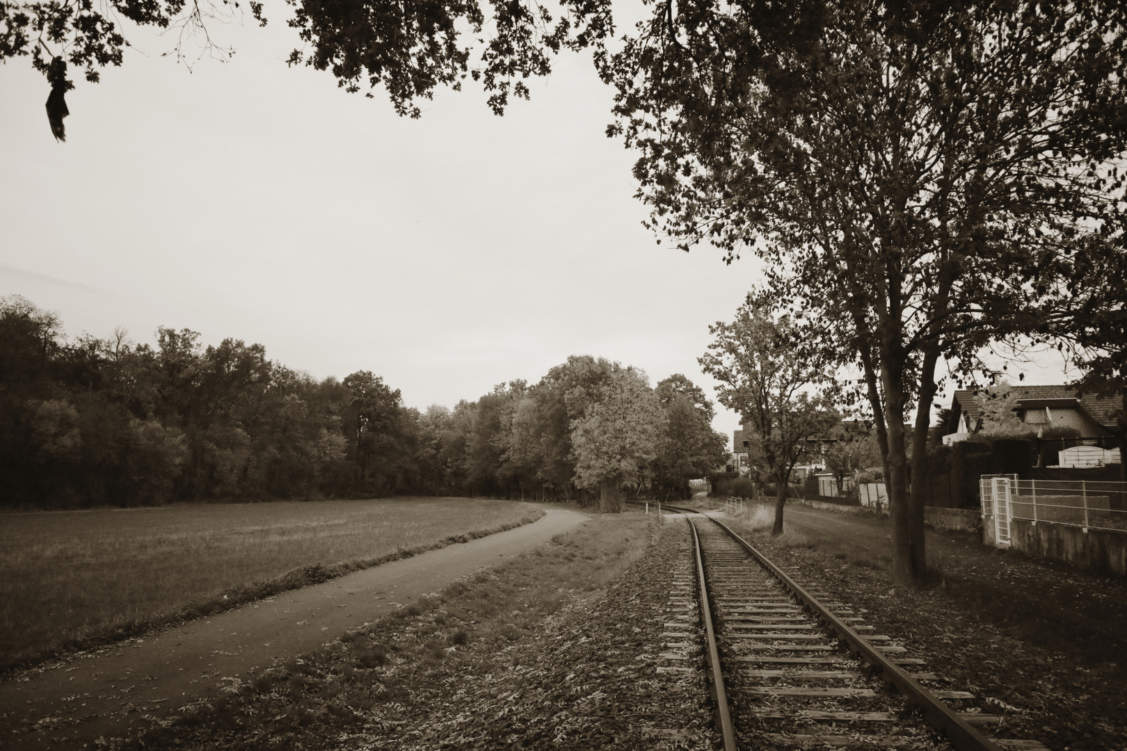 Herbst mal nicht in bunt