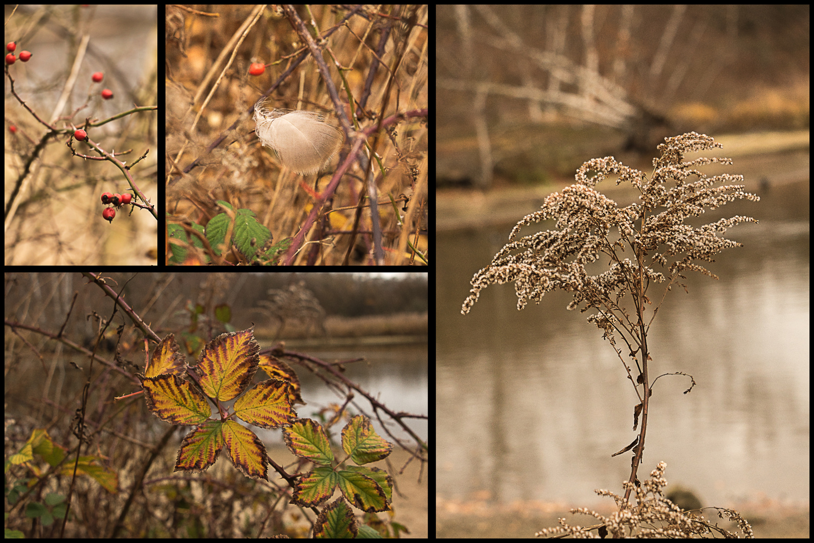 Herbst-Manie