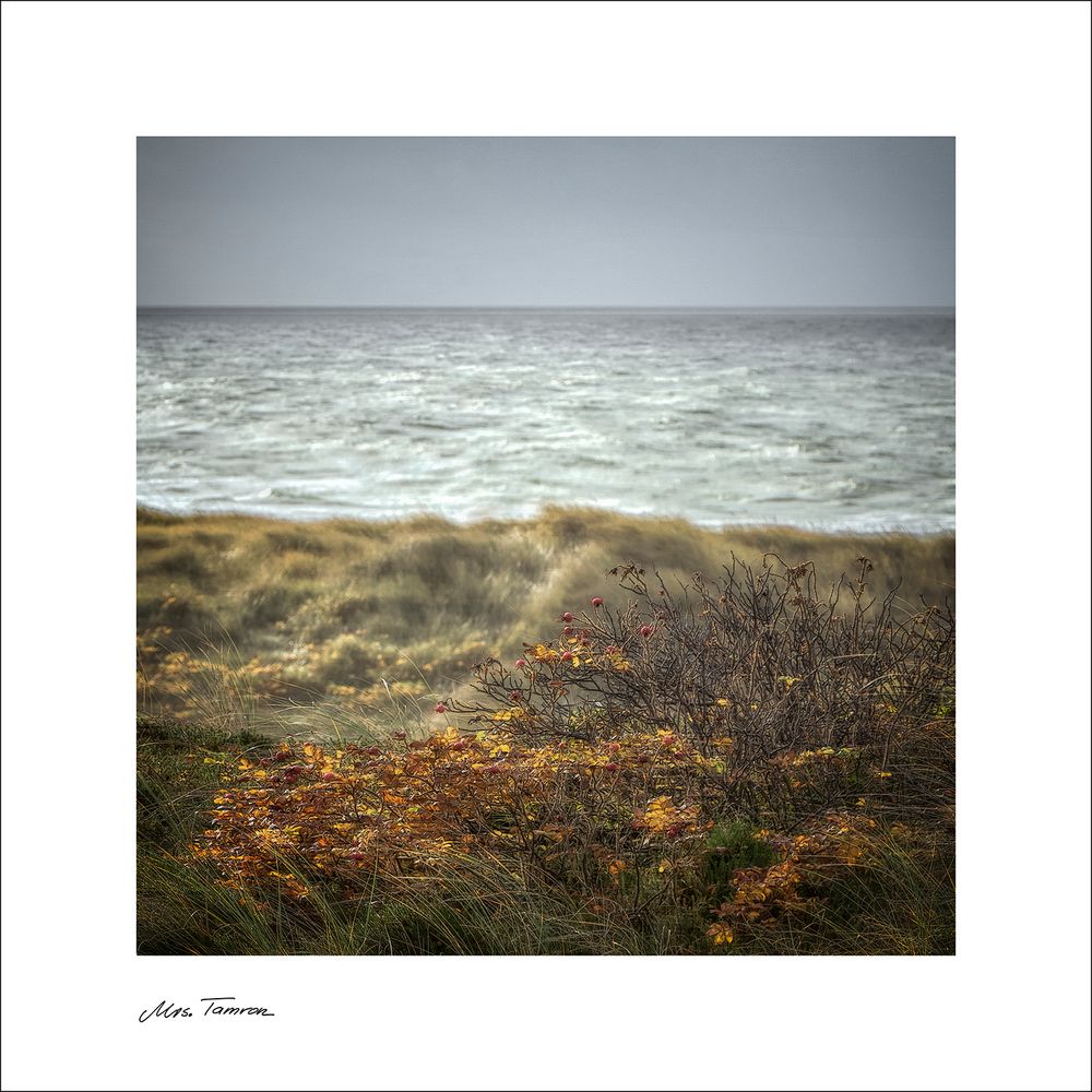 Herbst, Meer, Wind ...