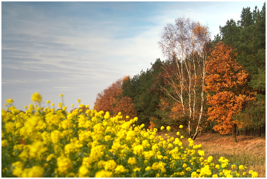 Herbst meets Frühling I