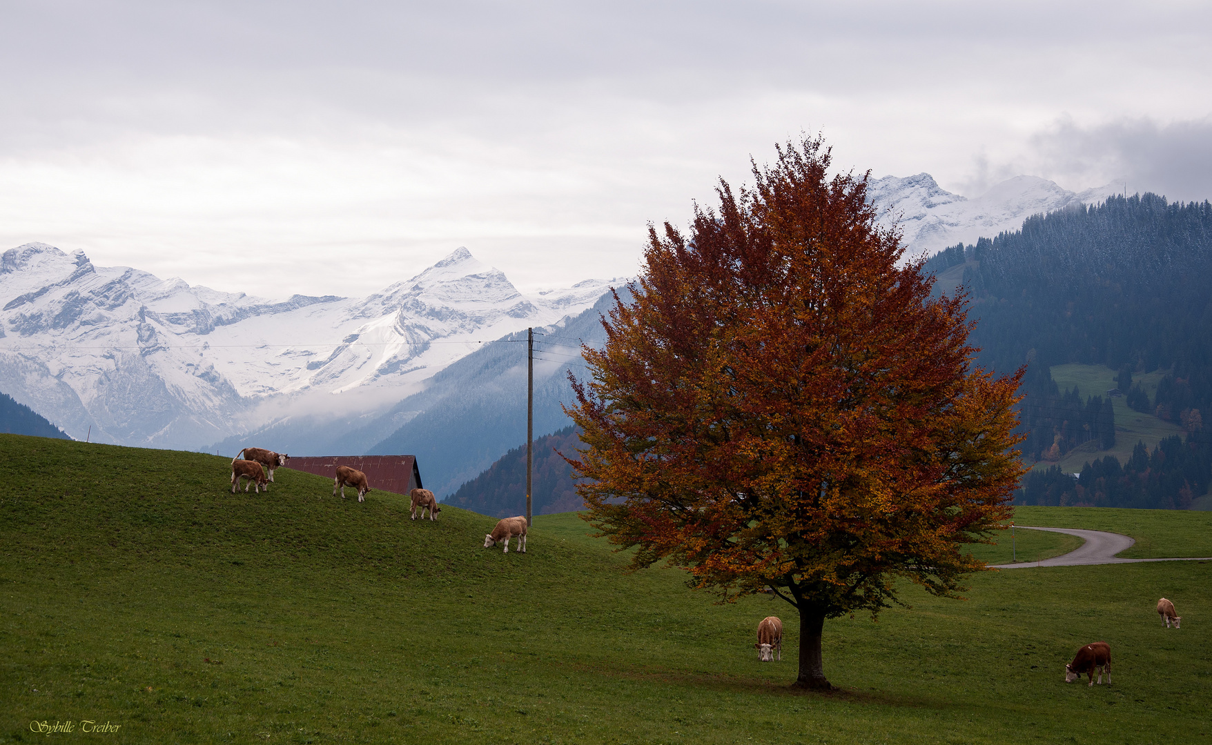 Herbst meets Winter