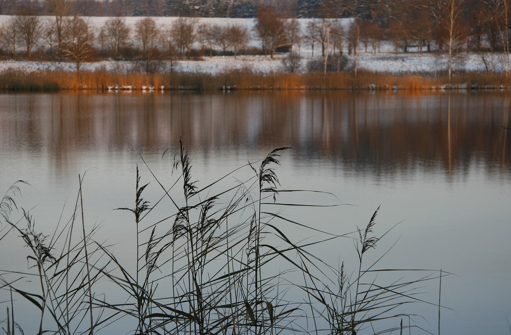 Herbst-Melancholie 1