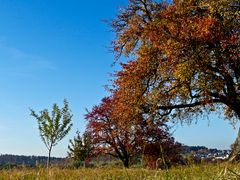 Herbst-Melodie